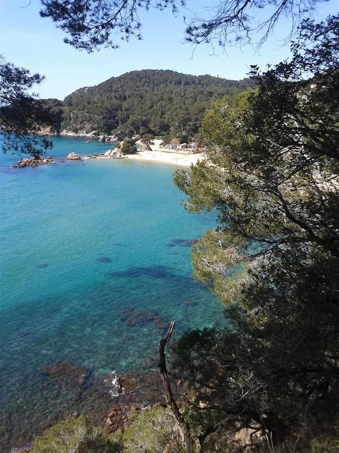 Apartment Sa Boadella Beach, Lloret De Mar - Costa Brava