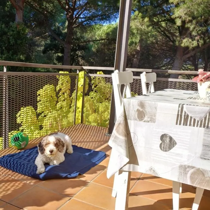 Apartment Sa Boadella Beach, Lloret De Mar - Costa Brava Spagna